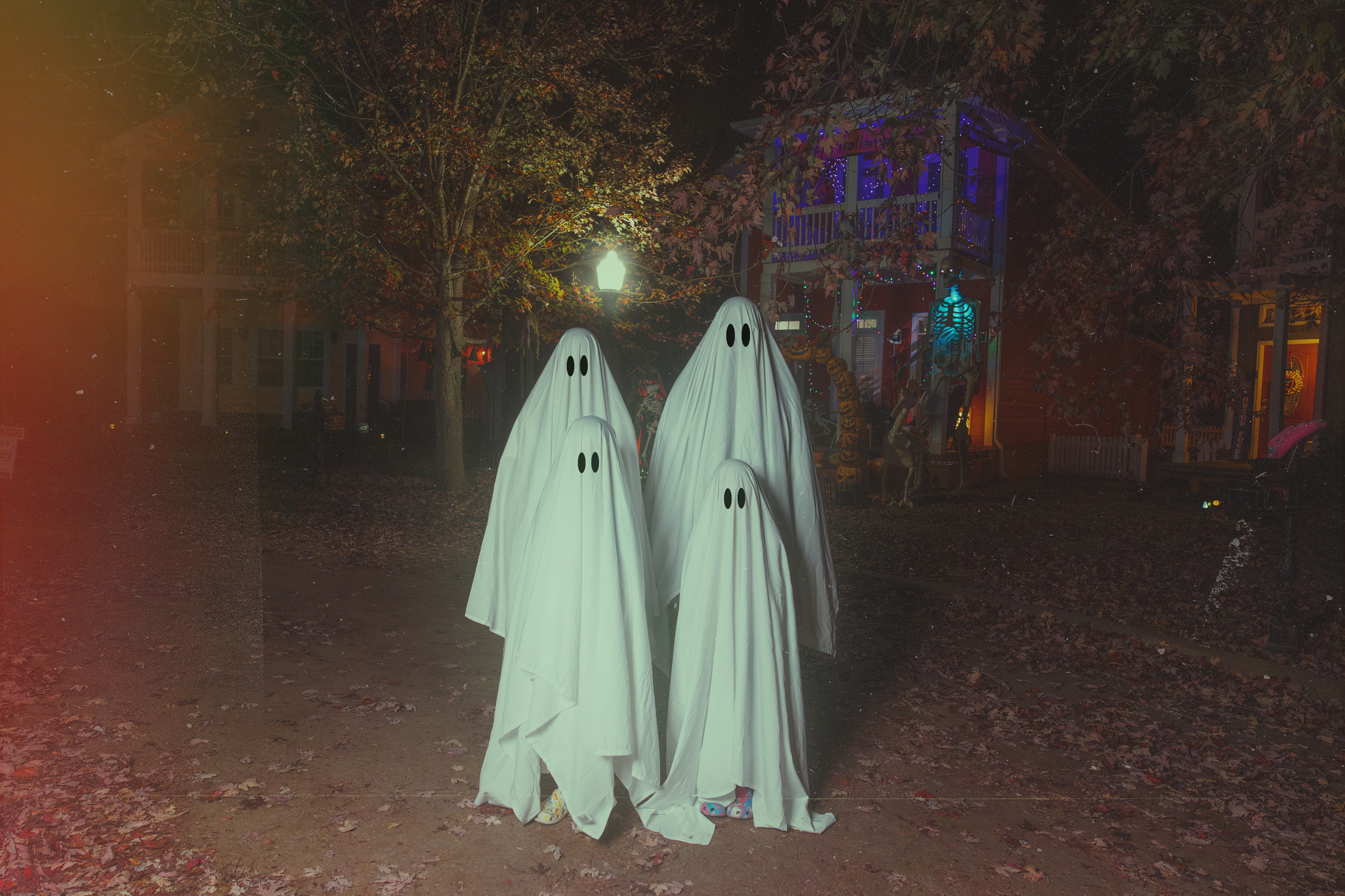 Image 13